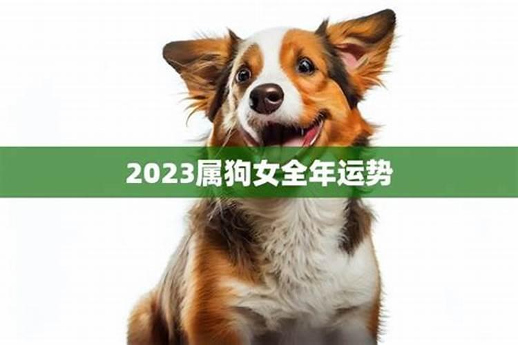属狗女2025年全年的运势及运程