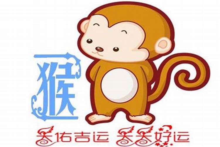 1980属猴2024苦尽甘来 属猴人今年运势怎么样