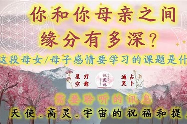 放置筷子的瓷器叫什么？