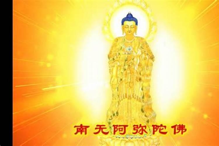梦见和自己的女性同学亲吻的预兆