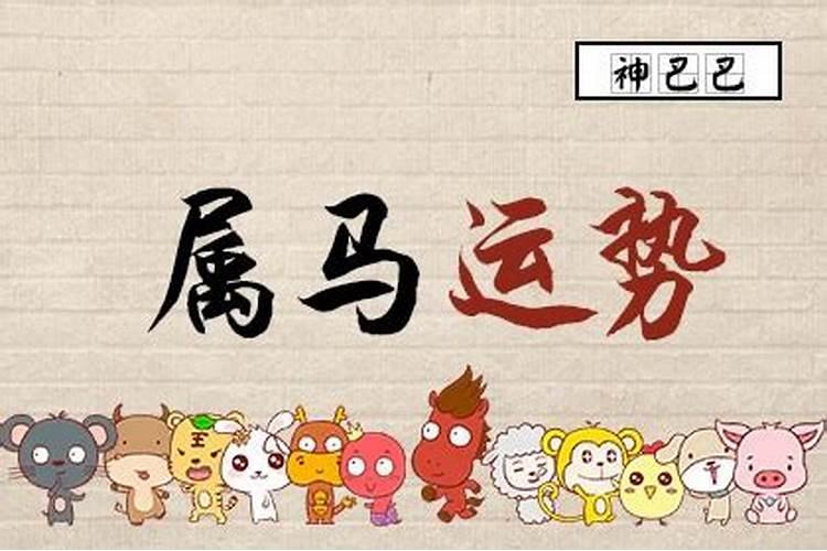 属马人今日运势及运程(属马人今日运势及运程神巴巴华易)