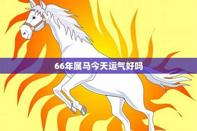 中午生的女孩命好不好