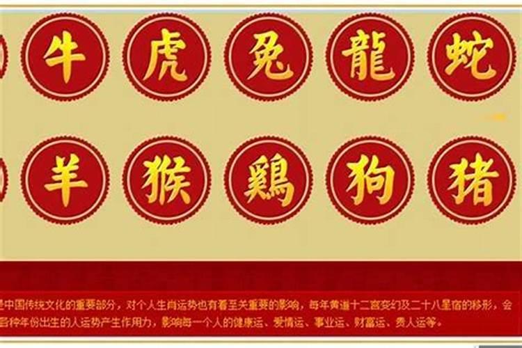 五行夫妻婚配表