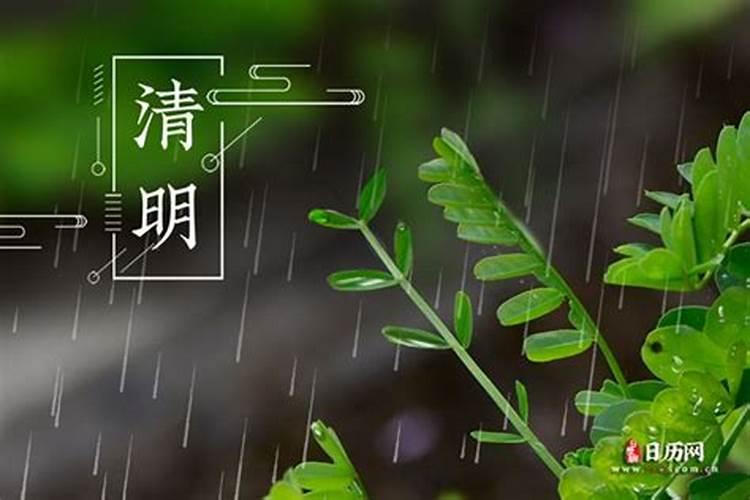 清明节上坟是先上老坟还是先上新坟清明节新坟老坟可以一起吗百度知...