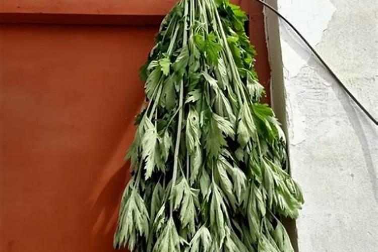 端午节艾蒿挂门上什么位置
