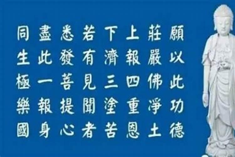 道士可以吃肉吗