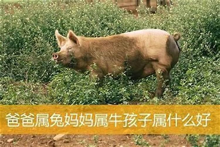 72年鼠和79年羊相配婚姻如何,1972年属鼠和1979年属羊的生辰八