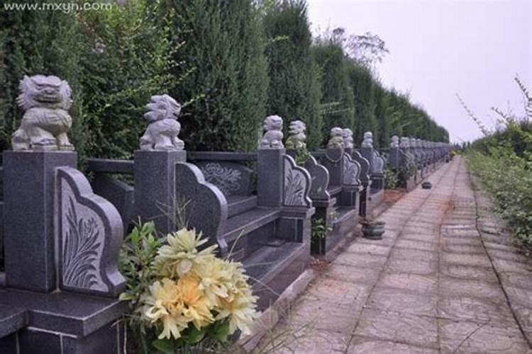 梦见坟头开出鲜花是什么意思？