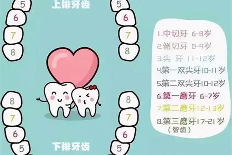 属猴女2024年运势及运程及每月运势