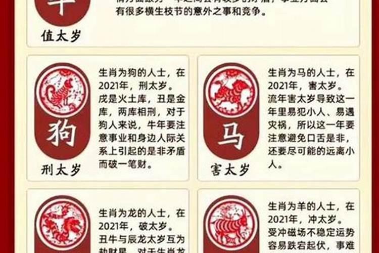 下午去寺庙给我打掉的孩子立牌位好吗？
