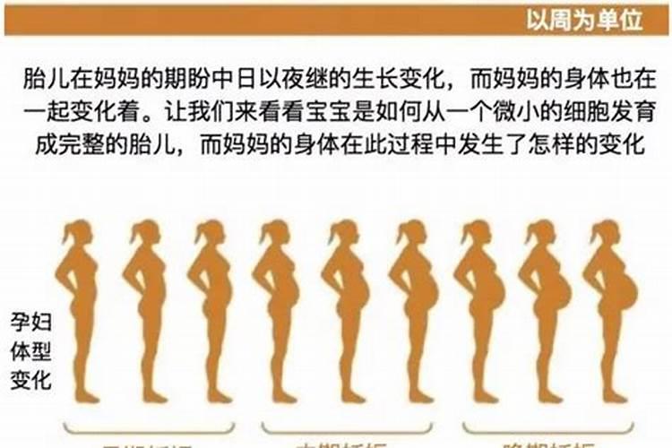 预产期算错了