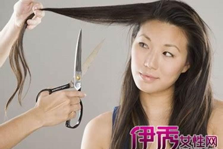 梦见扇子是什么预兆 梦见扇子怎么解释