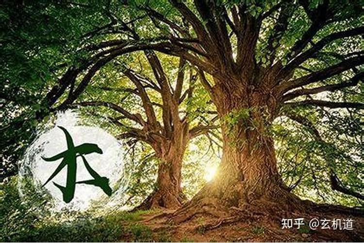 生日88年6月1日,龙年本命年该忌讳什么？