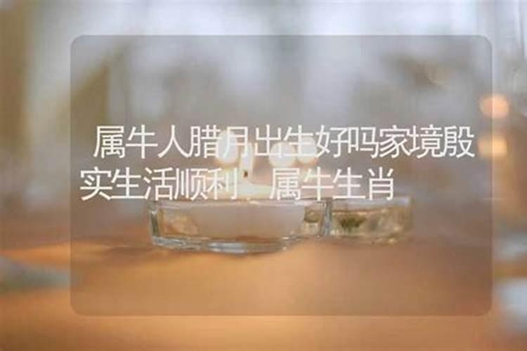 属牛的腊月出生最好命 一帆风顺容易成功？