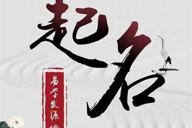 属蛇人2025年每月运势及全年运程