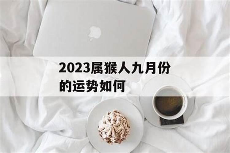 2025属牛的人