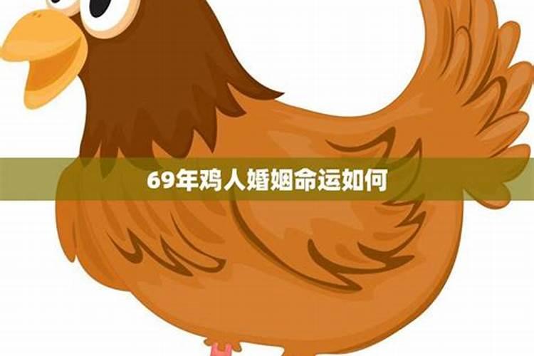 69年属鸡后半生婚姻 1969年属鸡55岁灾难