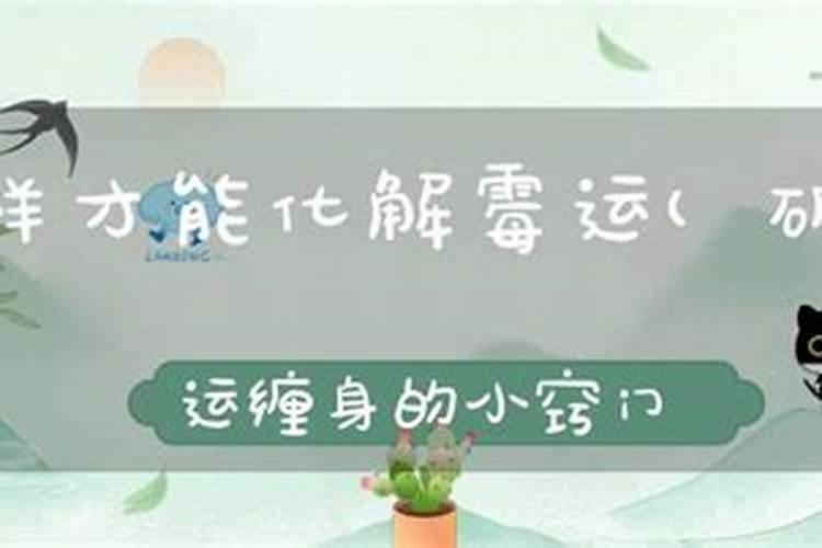 孕妇梦见蛇和乌龟同时出现预示着什么