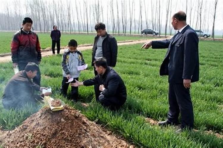 山东淄博节日习俗