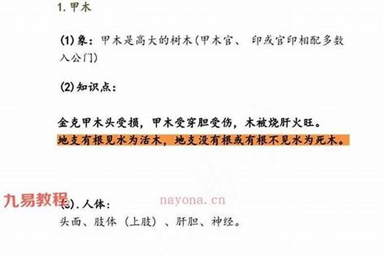 道家九字真言是什么？有什么含义？