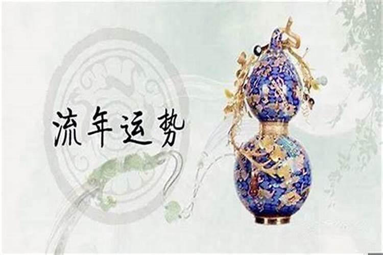 梦见死老鼠复活的预兆