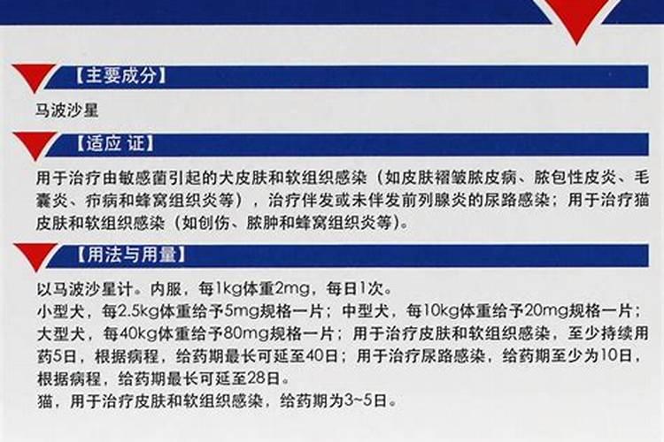 做法事是什么