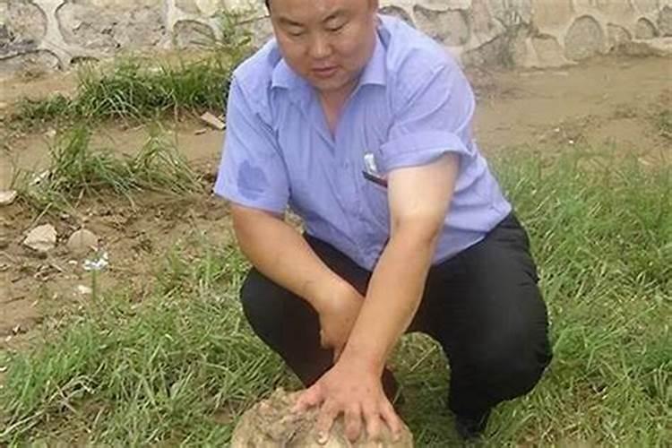 淘宝上卖的太岁是真的吗？