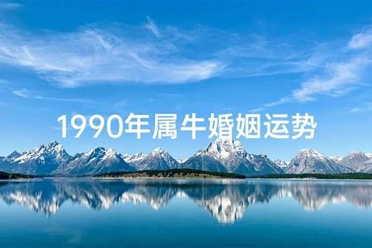 2025属牛今年有一难是什么 属牛2025年运势如何