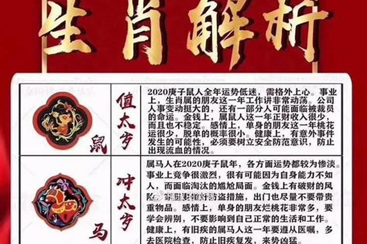 在鼠年犯太岁、冲太岁、刑太岁和害太岁要注意些什么？