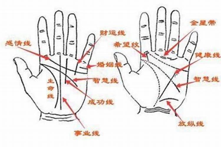 感情线很短刚到中指 感情线短的人不同时期的状态？