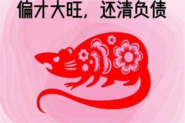 排屋(联排别墅)朝南庭院算前园还是后园？