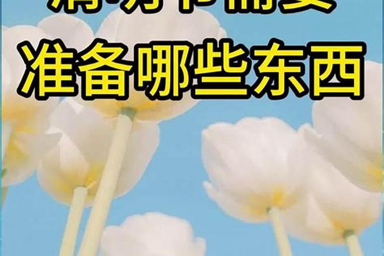 清明节要注意的事项