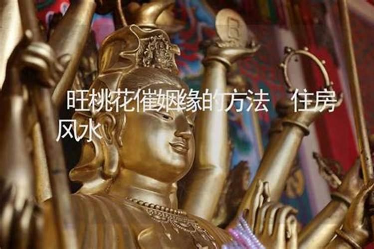 普陀山求子拜哪个庙