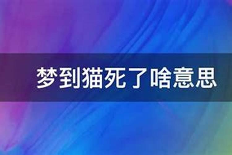 网格员应该怎么提升自己的工作效率？
