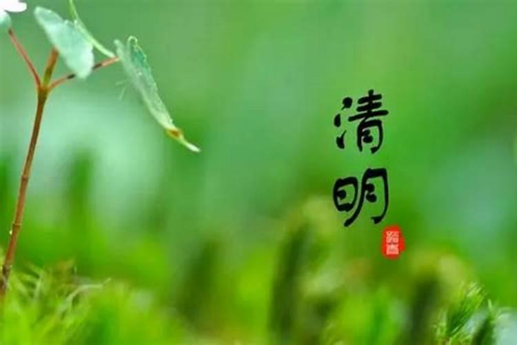 梦见在坟地里睡觉是什么意思