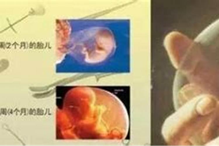 扫墓祭拜的东西可以带回吃吗