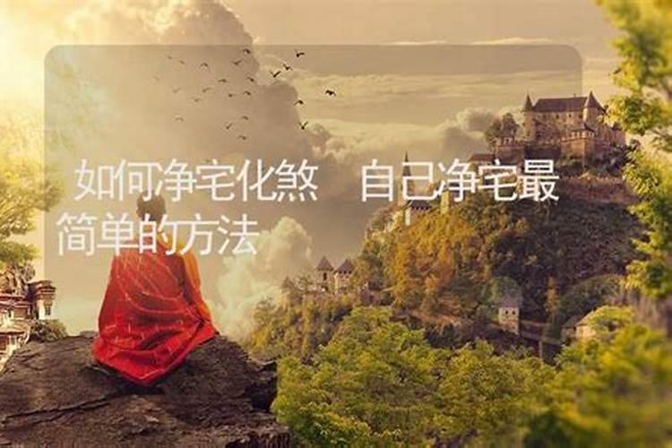 问道宠物飞升任务详细过程？