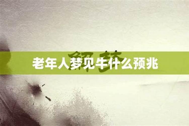 梦见牛周公解梦