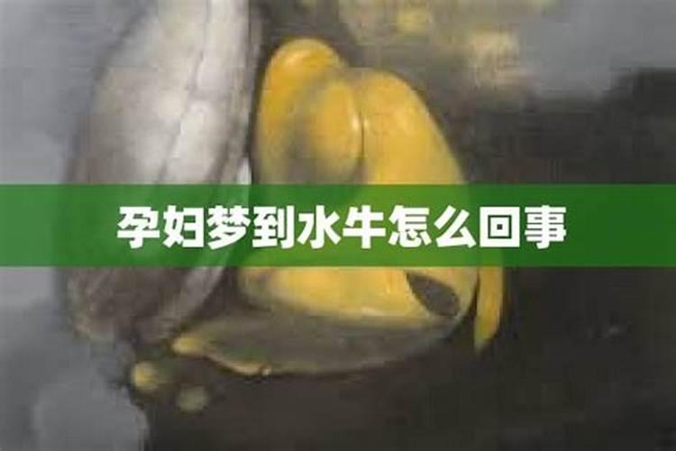 做梦梦见牛是什么意思