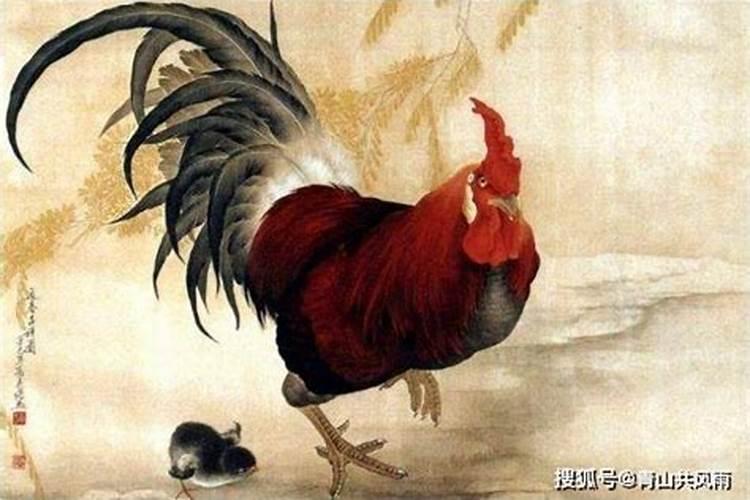 57年属鸡2023到2025将来三年运势好吗 颠簸和顺谦恭慎重慎？