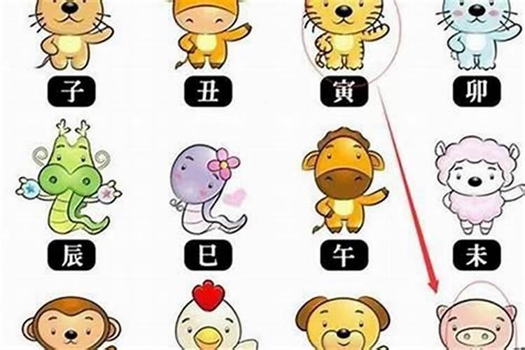 夫妻同心!婚后生活幸福美满的生肖女