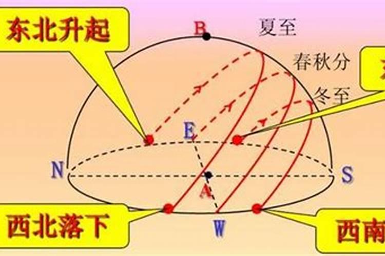 2025属蛇的全年运势运程 属蛇人2025年每月运势