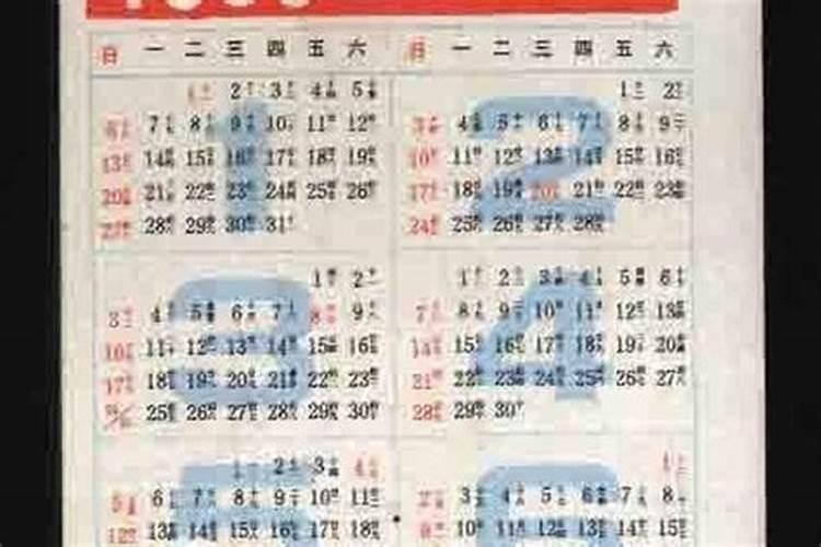 属虎的女人2025年运势全年