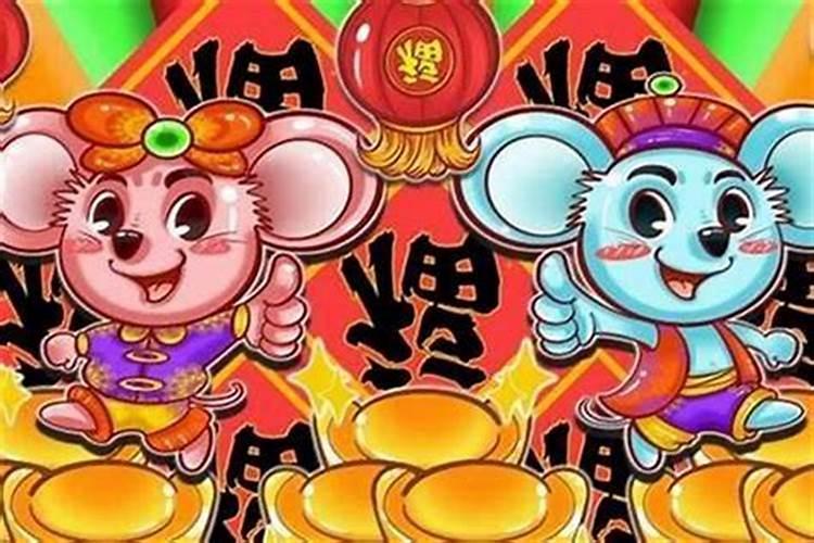 1996年田内之鼠命运怎么样 为什么属鼠1996的命苦