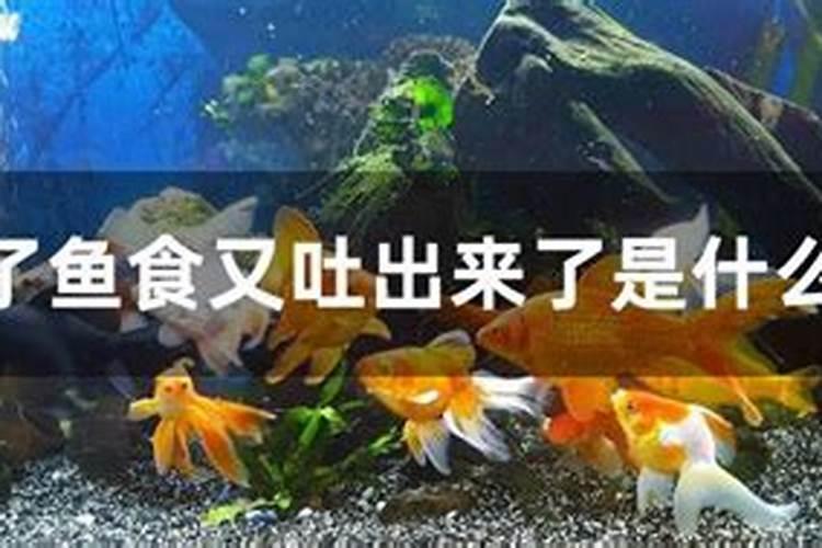 鬼节晚上能开灯吗 鬼节晚上能开窗睡觉吗今日头条