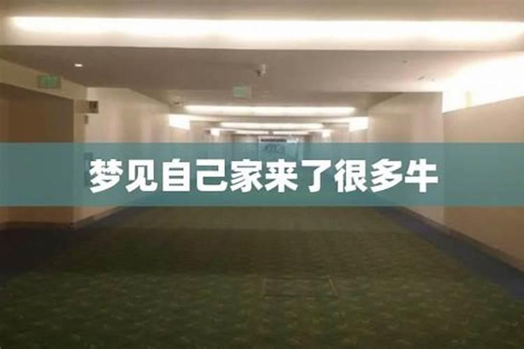 梦见仇人到自己家里来