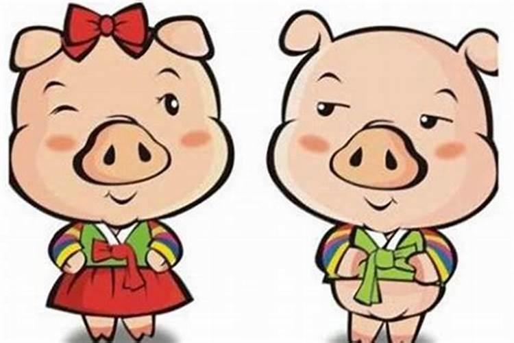 八字婚姻:属鼠和属猪的八字相合吗 结婚好不好？