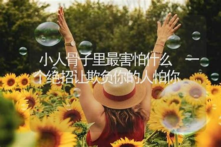 对付小人最狠一招是什么