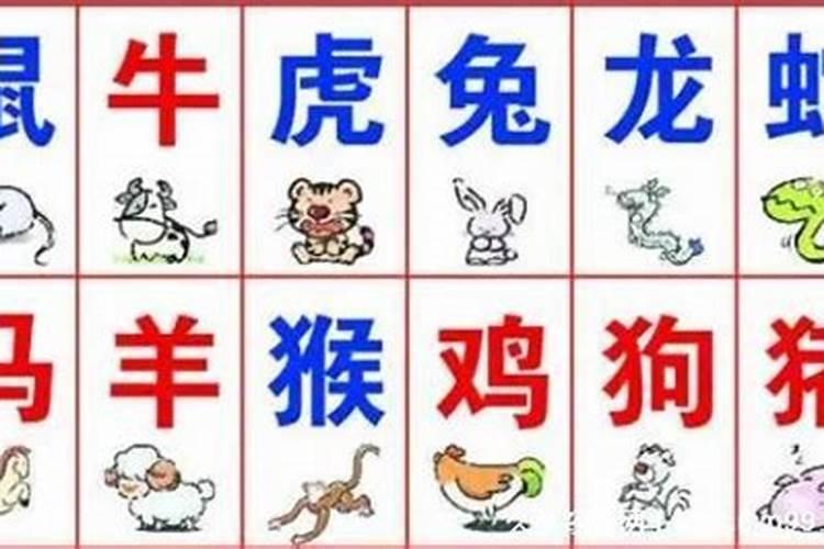 我属蛇,2008年运势如何啊？高手赐教。