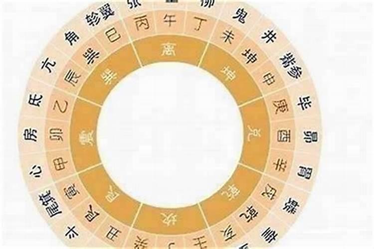 兔和什么八字合 与属兔相合的生肖有哪些